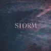 Frmwrk - Cycle 2: STORM - Single